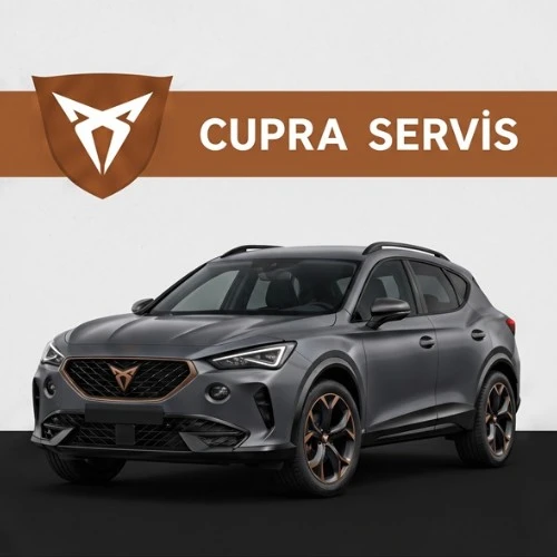 Cupra Özel Servis
