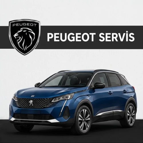Peugeot Özel Servis